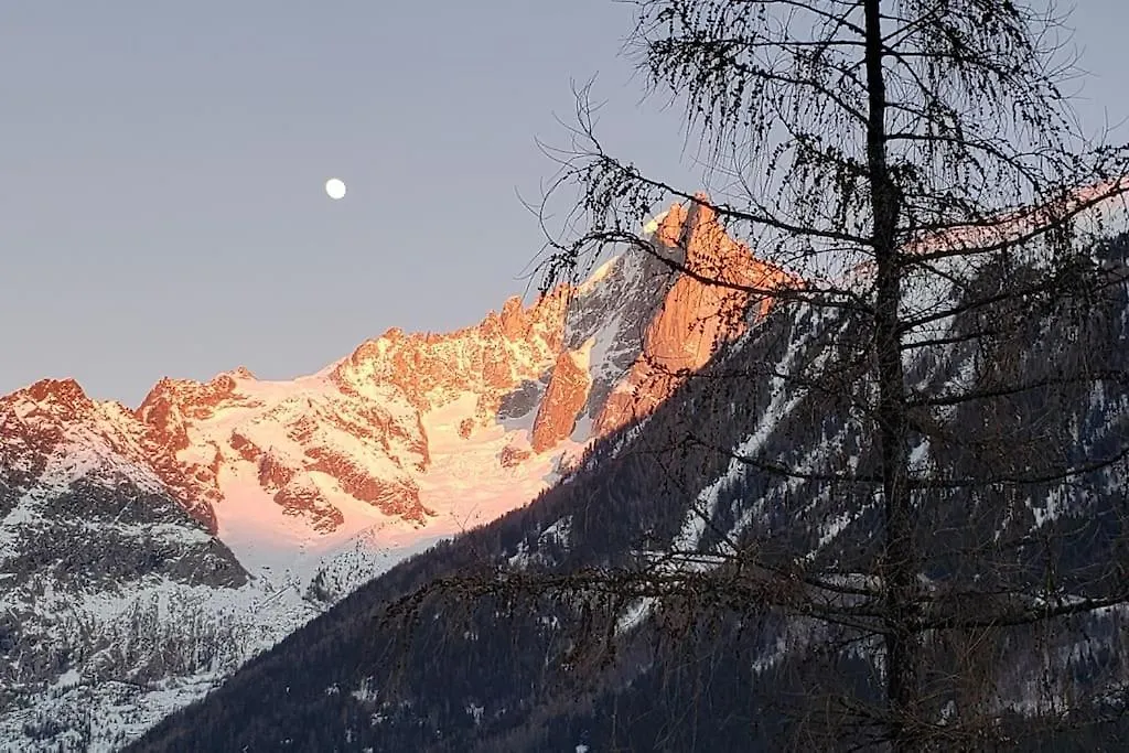 Bel Appartement Entier En Style Chalet A Chamonix France
